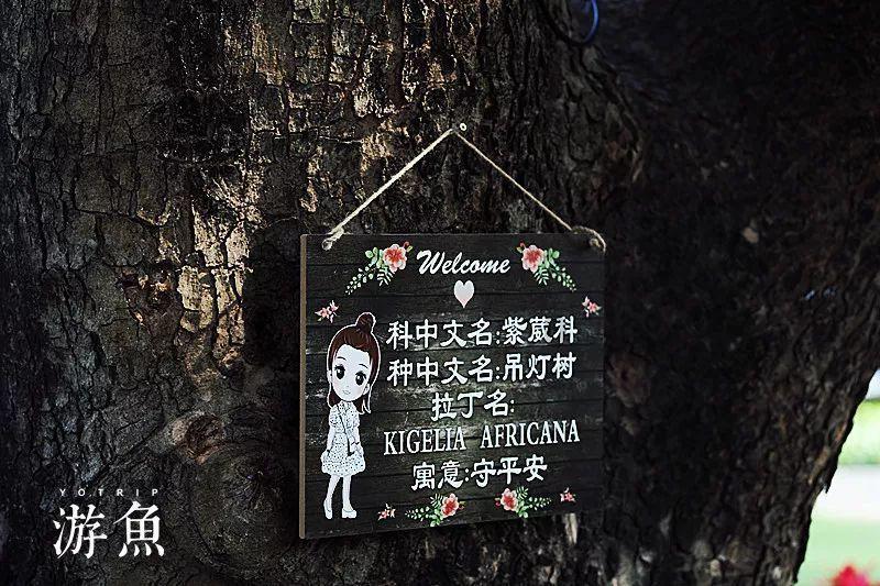 “这厢有礼了”是什么意思？游戏画面